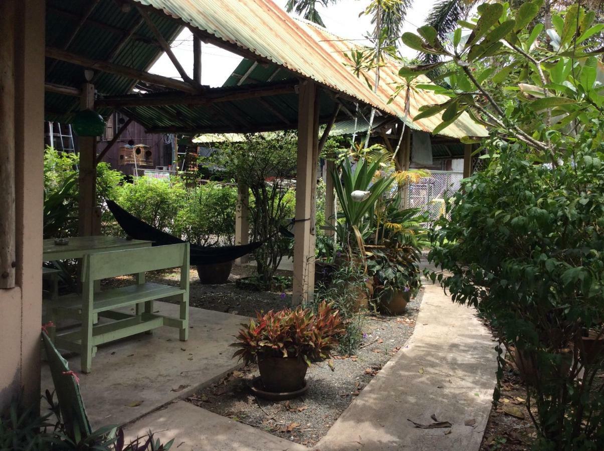 Orchid Guest House 达叻府 外观 照片